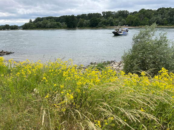 22-05-27 14-50-25 0909